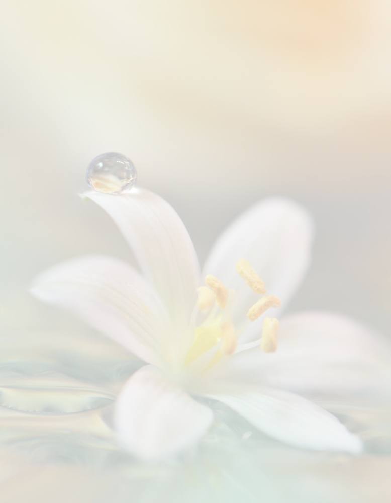 Sacred Being Soul Coaching