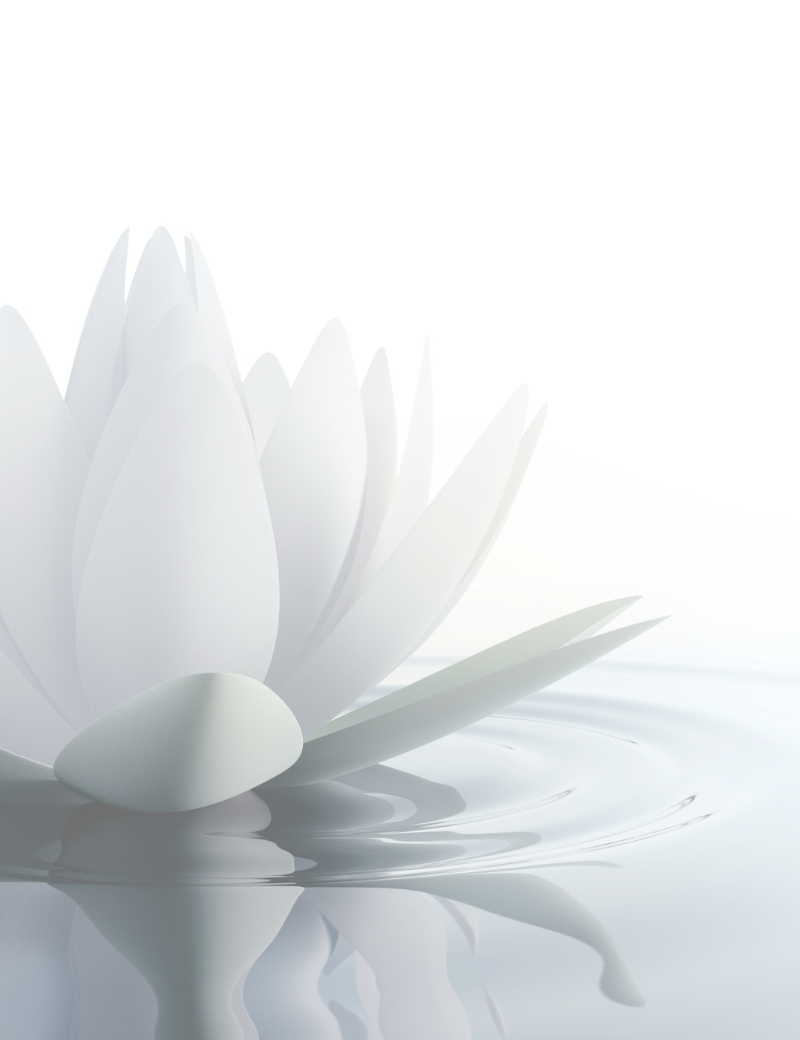 Dismantling negative ego