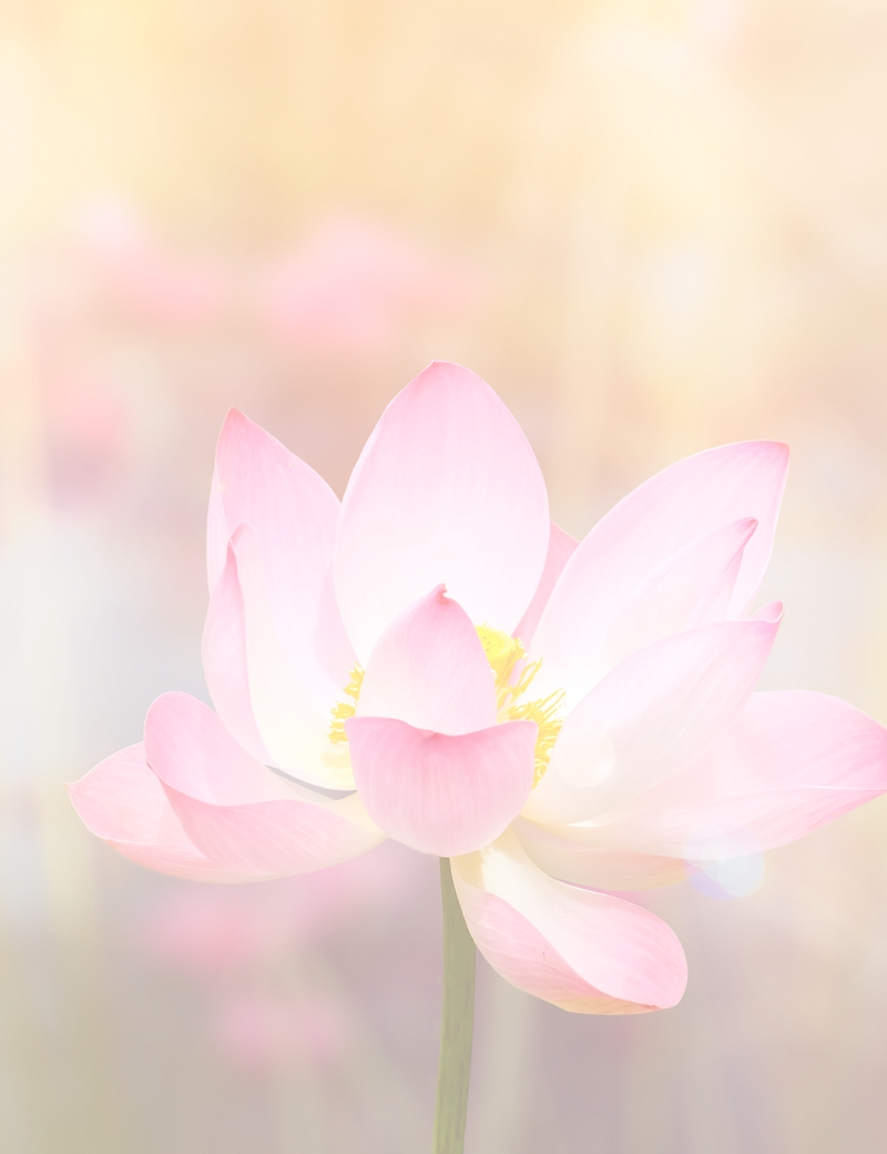 Dismantling negative ego