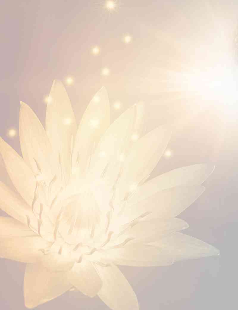 YOUR PERSONAL MULTIDIMENSIONAL TOOL BOX
